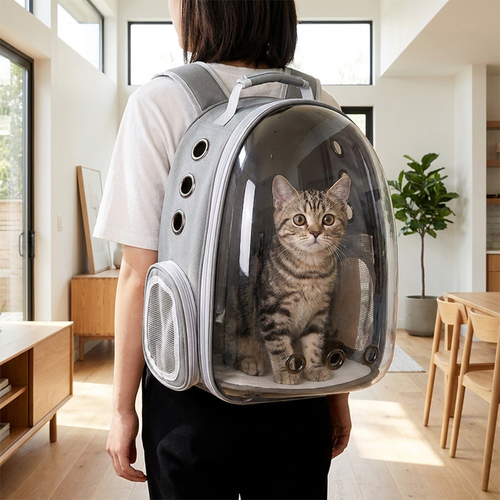Cat looking out of the Pawnest bubble pet carrier backpack