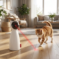 Cat chasing the Pawnest automatic laser toy
